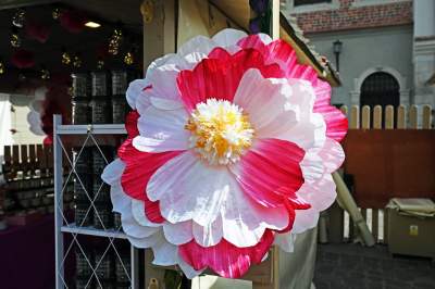 Najbardziej krakowski kiermasz wiosenny, na Małym Rynku - zdjęcie 6