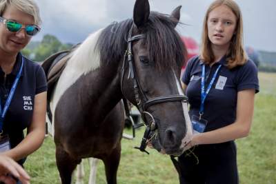 Juliada 2019 wystartowała: dla takiej imprezy nie ma złej pogody - zdjęcie 36