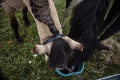 Juliada 2019 wystartowała: dla takiej imprezy nie ma złej pogody - zdjęcie 33