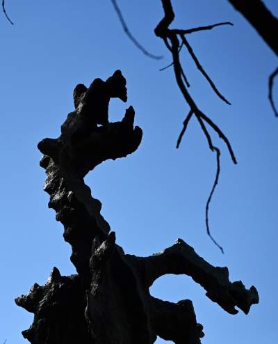 Nowa Smocza Jama pod Wawelem, zwiedzanie jeszcze ciekawsze - zdjęcie 6