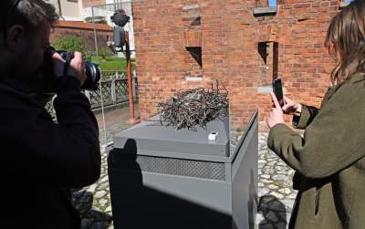 Niesamowite obiekty w ogrodach wawelskich. To trzeba zobaczyć - zdjęcie 8