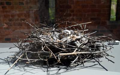 Niesamowite obiekty w ogrodach wawelskich. To trzeba zobaczyć - zdjęcie 6