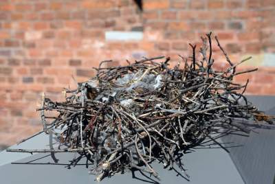 Niesamowite obiekty w ogrodach wawelskich. To trzeba zobaczyć - zdjęcie 5