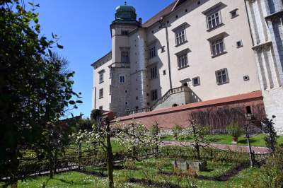 Niesamowite obiekty w ogrodach wawelskich. To trzeba zobaczyć - zdjęcie 13