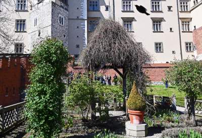 Niesamowite obiekty w ogrodach wawelskich. To trzeba zobaczyć - zdjęcie 7