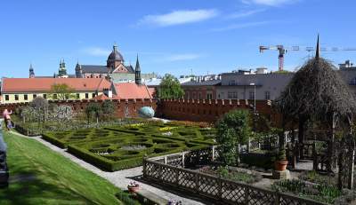 Niesamowite obiekty w ogrodach wawelskich. To trzeba zobaczyć - zdjęcie 2