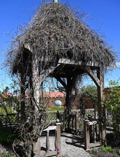 Niesamowite obiekty w ogrodach wawelskich. To trzeba zobaczyć - zdjęcie 4