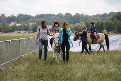 Taka sytuacja na Błoniach, a w sąsiedztwie rowerowe szaleństwo - zdjęcie 1