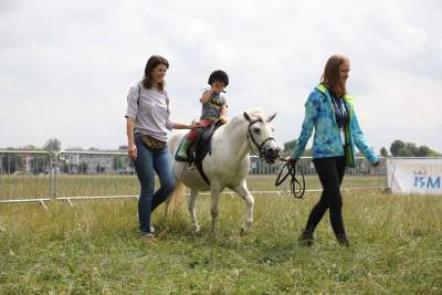 Taka sytuacja na Błoniach, a w sąsiedztwie rowerowe szaleństwo - zdjęcie 4