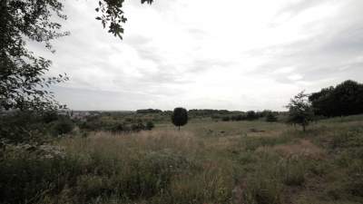 Atrakcyjny zielony teren? Nade wszystko miejsce pamięci - zdjęcie 1