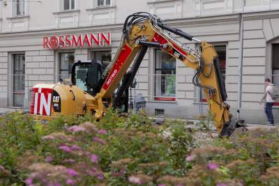 Nie dzieje się nic. Takie widoki zostaną z nami na znacznie dłużej... (Lipiec 2019) - zdjęcie 7