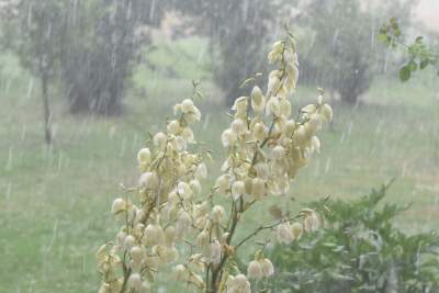 Takie widoki dziś w okolicach Krakowa. W samym mieście też możliwe - zdjęcie 5