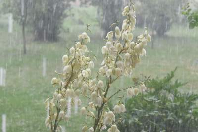 Takie widoki dziś w okolicach Krakowa. W samym mieście też możliwe - zdjęcie 4