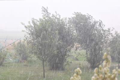 Takie widoki dziś w okolicach Krakowa. W samym mieście też możliwe - zdjęcie 6