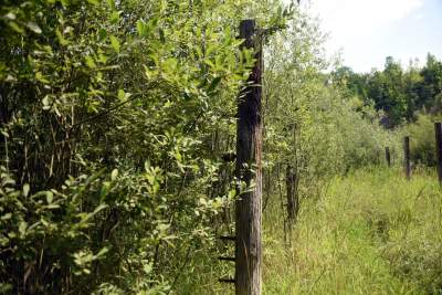 Tutaj Steven Spielberg kręcił "Listę Schindlera". Mija 30 lat od premiery - zdjęcie 24