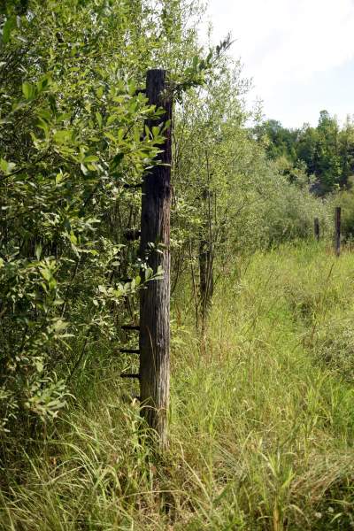 Tutaj Steven Spielberg kręcił "Listę Schindlera". Mija 30 lat od premiery - zdjęcie 26