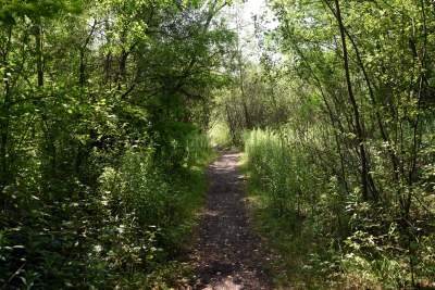 Tutaj Steven Spielberg kręcił "Listę Schindlera". Mija 30 lat od premiery - zdjęcie 2