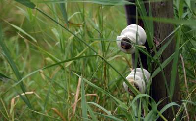 Tutaj Steven Spielberg kręcił "Listę Schindlera". Mija 30 lat od premiery - zdjęcie 17
