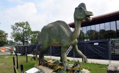 Dinozaury rządzą w Krakowie. Jeszcze przez kilka dni - zdjęcie 14