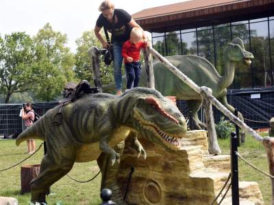 Dinozaury rządzą w Krakowie. Jeszcze przez kilka dni - zdjęcie 23