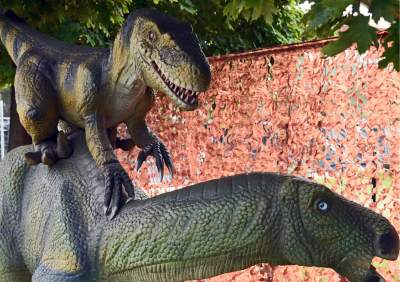 Dinozaury rządzą w Krakowie. Jeszcze przez kilka dni - zdjęcie 26