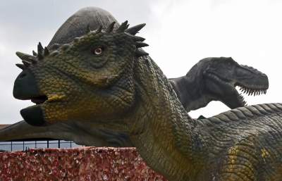 Dinozaury rządzą w Krakowie. Jeszcze przez kilka dni - zdjęcie 4