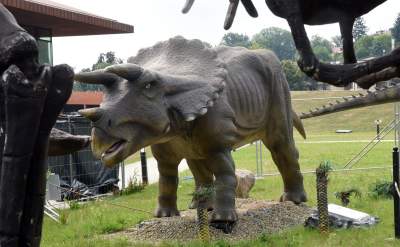 Dinozaury rządzą w Krakowie. Jeszcze przez kilka dni - zdjęcie 13