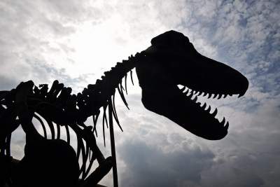 Dinozaury rządzą w Krakowie. Jeszcze przez kilka dni - zdjęcie 11