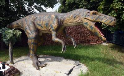 Dinozaury rządzą w Krakowie. Jeszcze przez kilka dni - zdjęcie 19