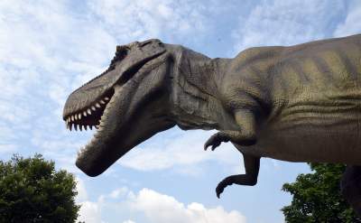 Dinozaury rządzą w Krakowie. Jeszcze przez kilka dni - zdjęcie 10