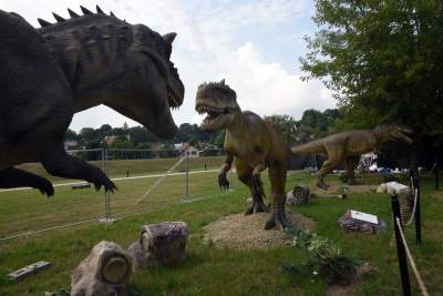 Dinozaury rządzą w Krakowie. Jeszcze przez kilka dni - zdjęcie 9