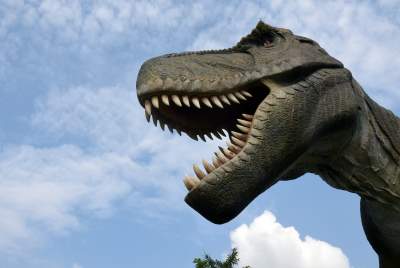 Dinozaury rządzą w Krakowie. Jeszcze przez kilka dni - zdjęcie 8