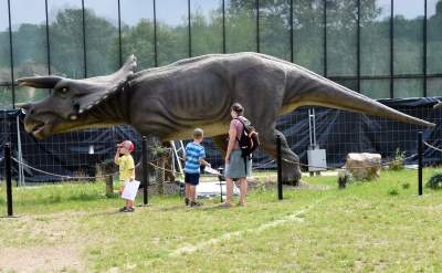 Dinozaury rządzą w Krakowie. Jeszcze przez kilka dni - zdjęcie 21