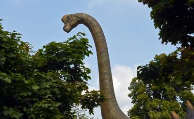 Dinozaury rządzą w Krakowie. Jeszcze przez kilka dni - zdjęcie 17