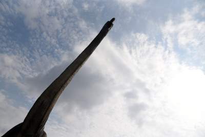 Dinozaury rządzą w Krakowie. Jeszcze przez kilka dni - zdjęcie 25