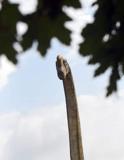 Dinozaury rządzą w Krakowie. Jeszcze przez kilka dni - zdjęcie 27