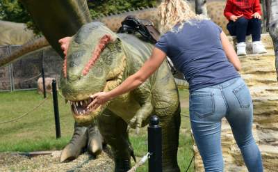 Dinozaury rządzą w Krakowie. Jeszcze przez kilka dni - zdjęcie 22