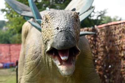 Dinozaury rządzą w Krakowie. Jeszcze przez kilka dni - zdjęcie 20