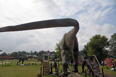 Dinozaury rządzą w Krakowie. Jeszcze przez kilka dni - zdjęcie 16