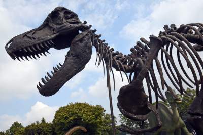 Dinozaury rządzą w Krakowie. Jeszcze przez kilka dni - zdjęcie 12