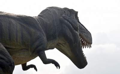 Dinozaury rządzą w Krakowie. Jeszcze przez kilka dni - zdjęcie 18