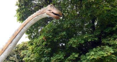 Dinozaury rządzą w Krakowie. Jeszcze przez kilka dni - zdjęcie 15