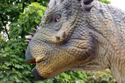 Dinozaury rządzą w Krakowie. Jeszcze przez kilka dni - zdjęcie 5