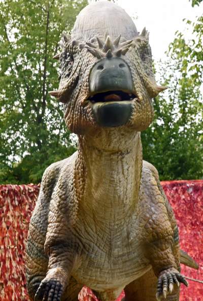 Dinozaury rządzą w Krakowie. Jeszcze przez kilka dni - zdjęcie 3