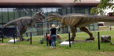 Dinozaury rządzą w Krakowie. Jeszcze przez kilka dni - zdjęcie 7