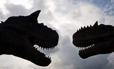 Dinozaury rządzą w Krakowie. Jeszcze przez kilka dni - zdjęcie 6