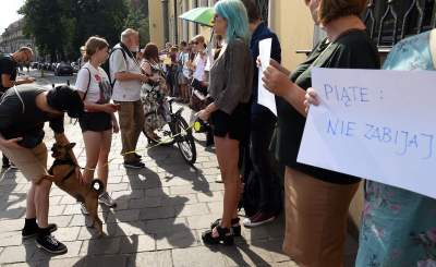 Niemy protest przed krakowską kurią po skandalicznej wypowiedzi metropolity - zdjęcie 9