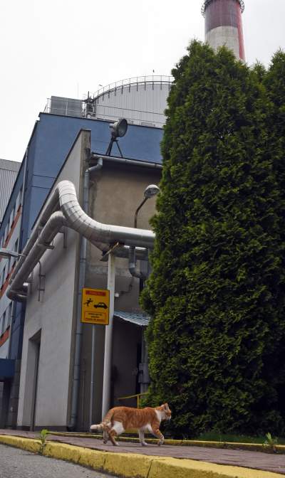 Wielkie malowanie wielkiego - największego - komina - zdjęcie 15