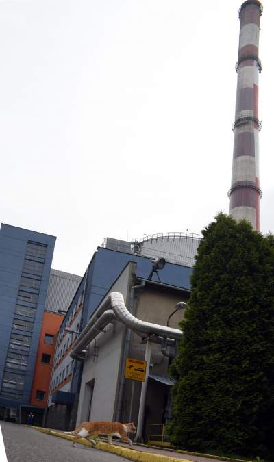 Wielkie malowanie wielkiego - największego - komina - zdjęcie 14