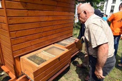 W tym domku pacjentów leczą pszczoły. Pierwsze takie miejsce w Krakowie - zdjęcie 2